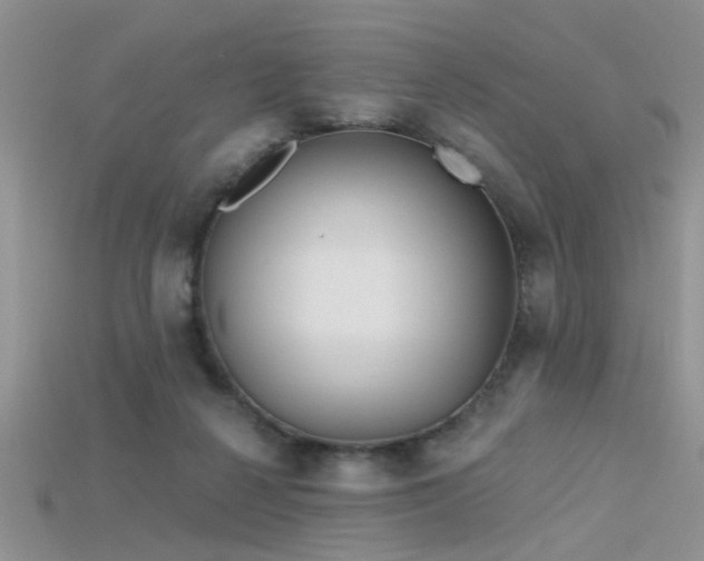 X0000115670264200911121159