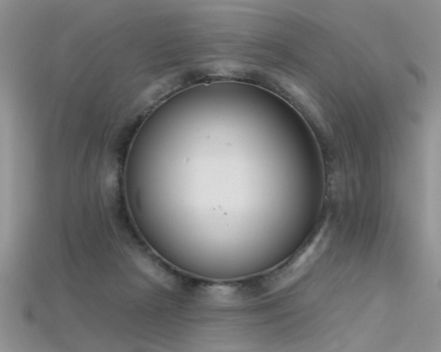 X0000115670265200911121159