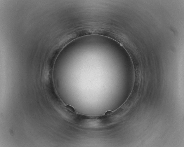 X0000115670266200911121159