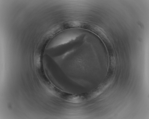 X0000115670267200911121159