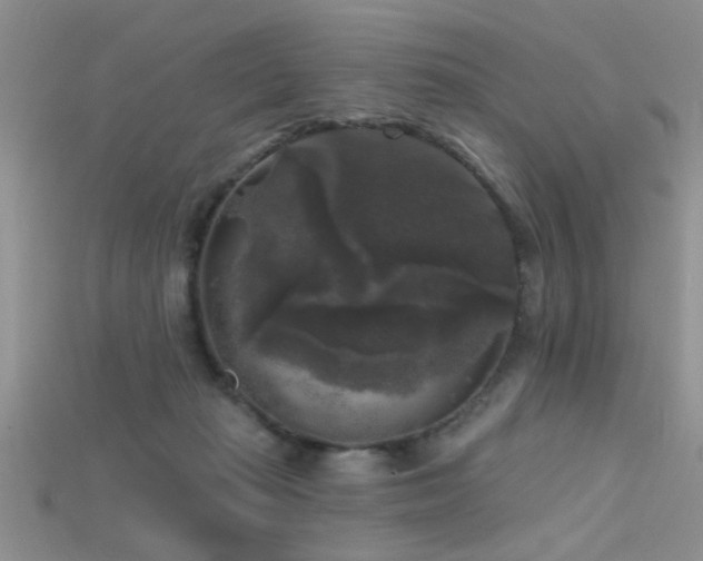 X0000115670269200911121159