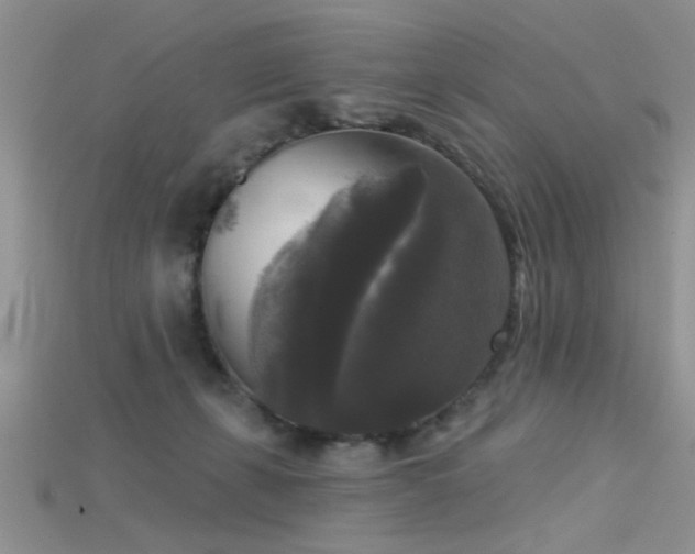 X0000115670271200911121159