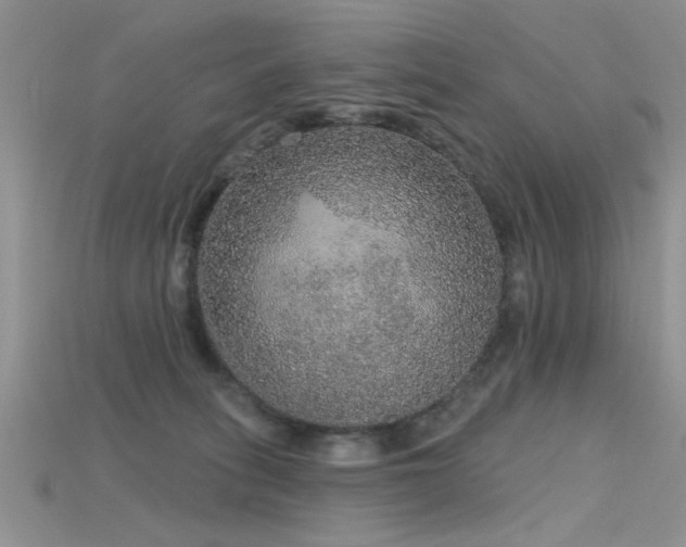 X0000115670275200911121159