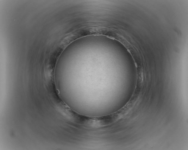X0000115670276200911121159