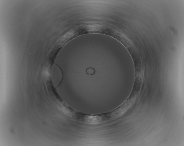 X0000115670277200911121159