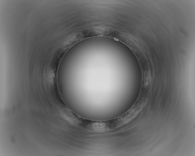 X0000115670279200911121159
