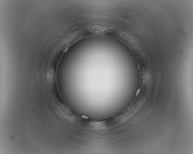 X0000115670283200911121159