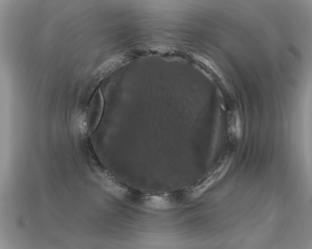 X0000115670285200911121159