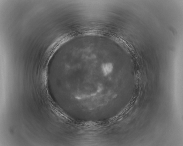 X0000115670290200911121159