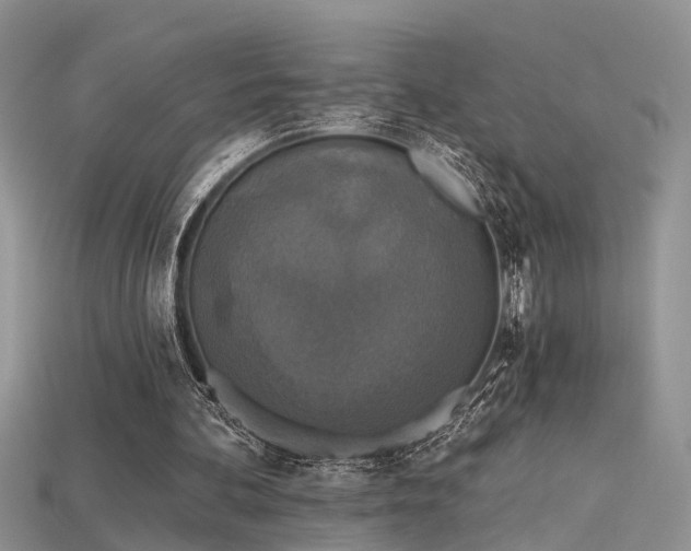 X0000115670292200911121159