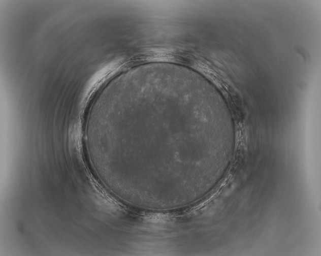 X0000115670293200911121159