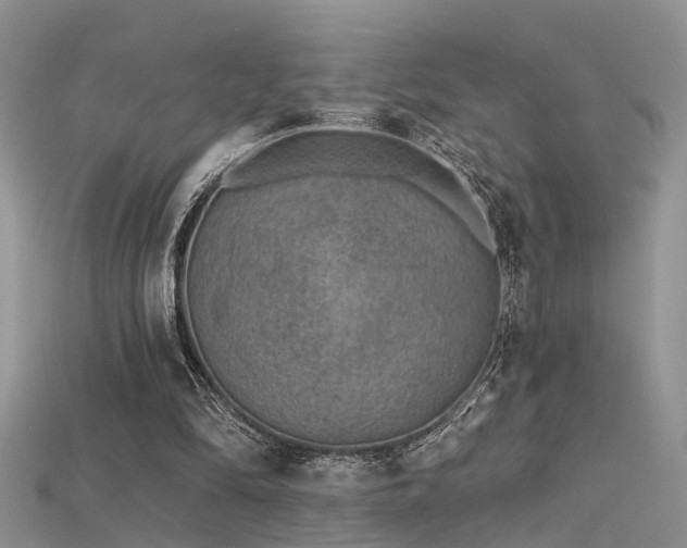 X0000115670294200911121159
