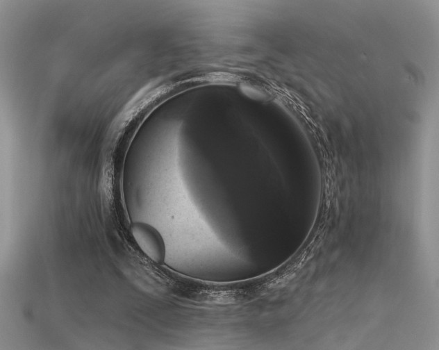 X0000115670295200911121159