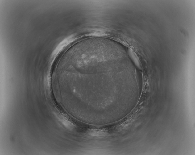 X0000115670296200911121159