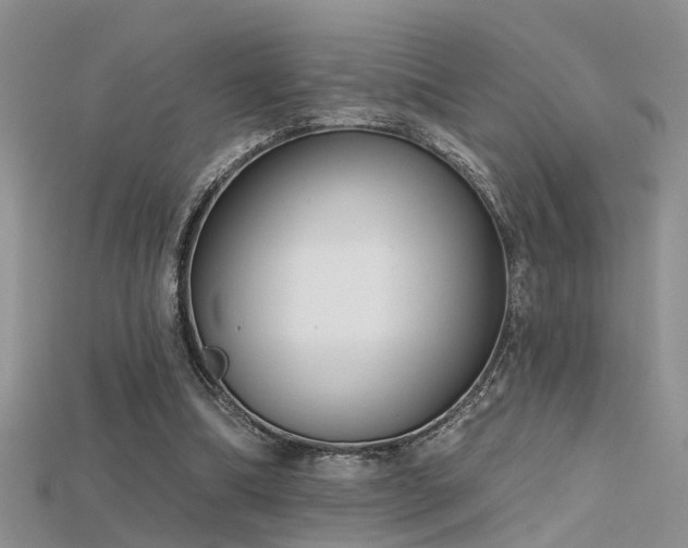 X0000115670298200911121159