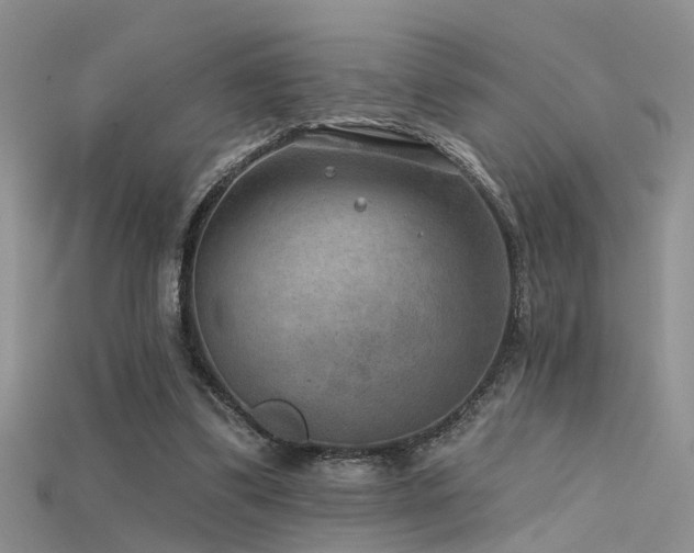 X0000115670299200911121159