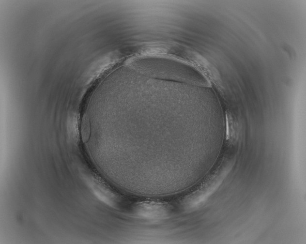 X0000115670300200911121158