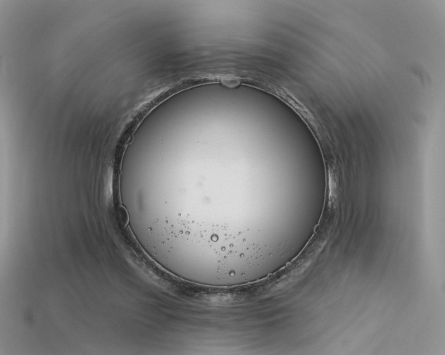 X0000115670301200911121158