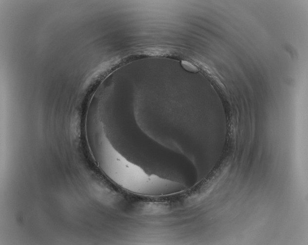 X0000115670303200911121158