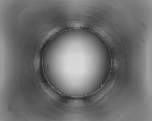 X0000115670304200911121158