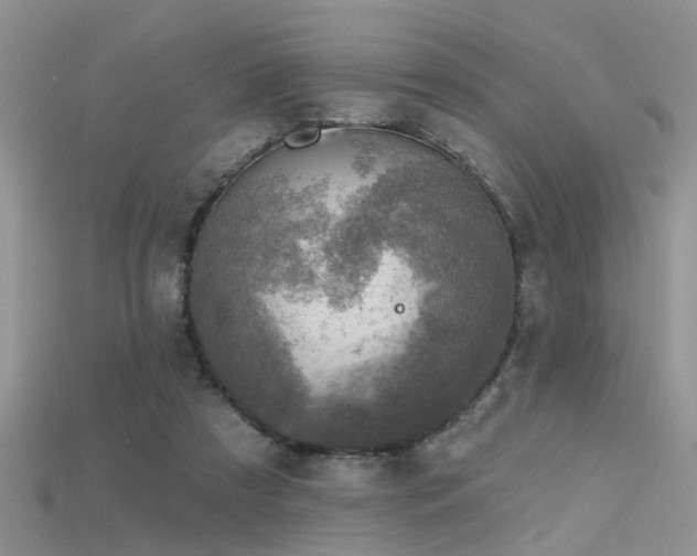 X0000115670305200911121158