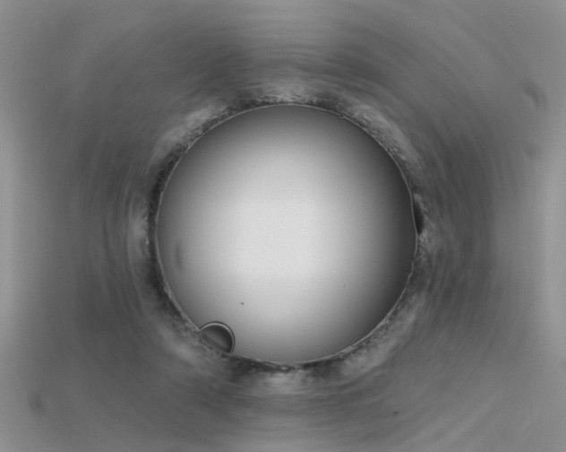 X0000115670306200911121158