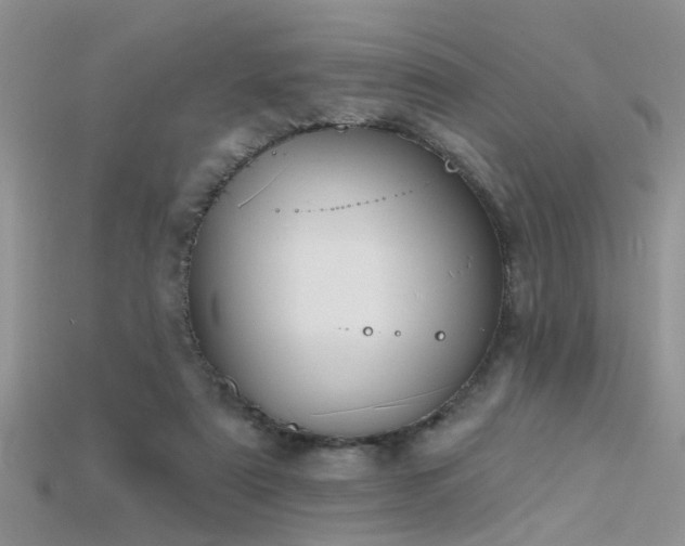 X0000115670307200911121158