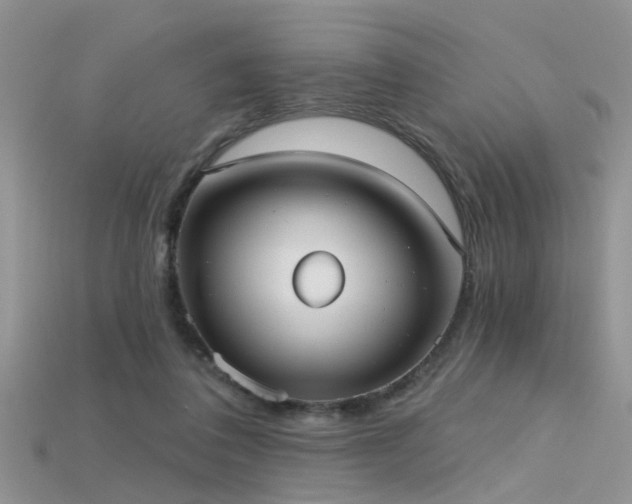 X0000115670308200911121158