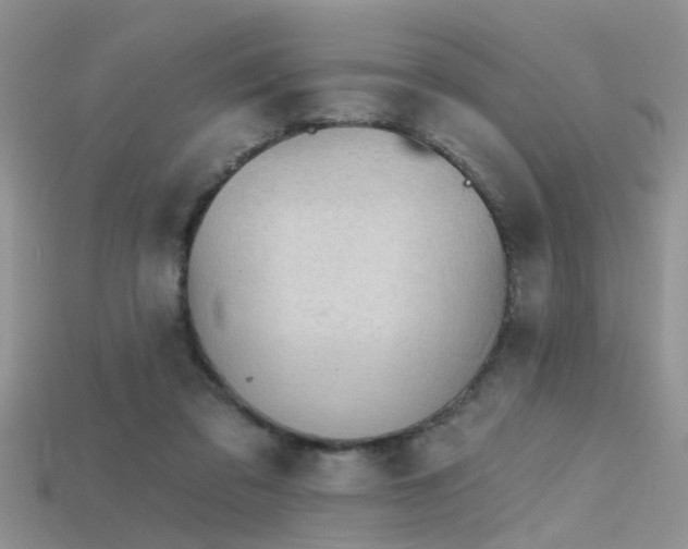 X0000115670309200911121158