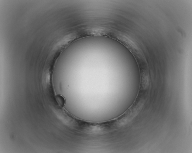 X0000115670310200911121158