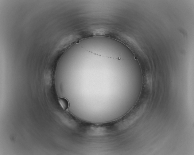 X0000115670311200911121158