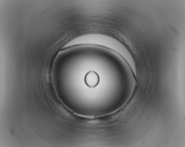 X0000115670313200911121158