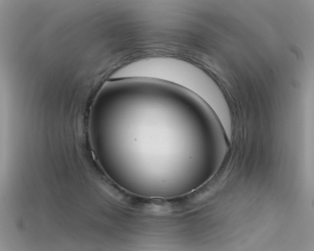 X0000115670317200911121158