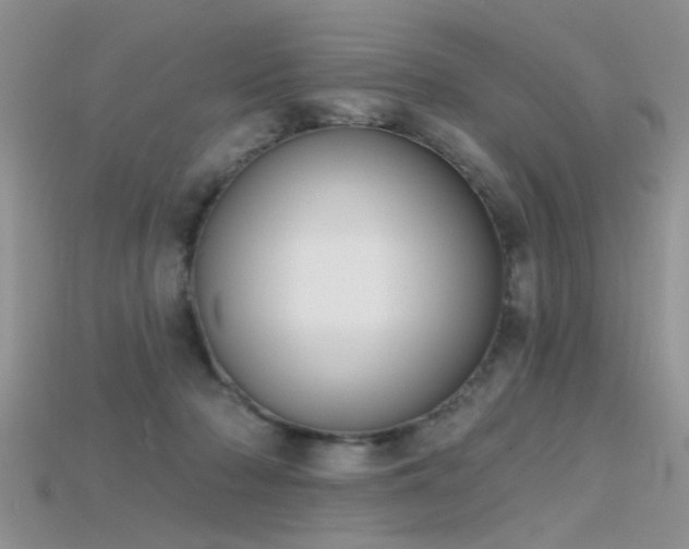 X0000115670318200911121158