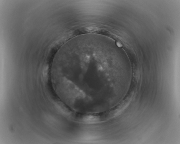 X0000115670319200911121158