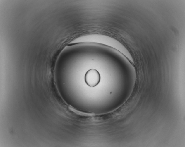 X0000115670320200911121158