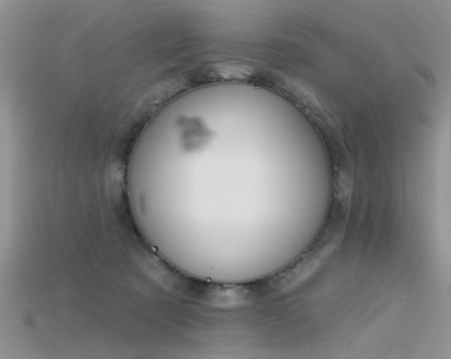 X0000115670321200911121158