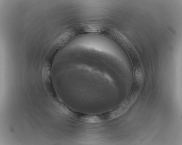 X0000115670322200911121158