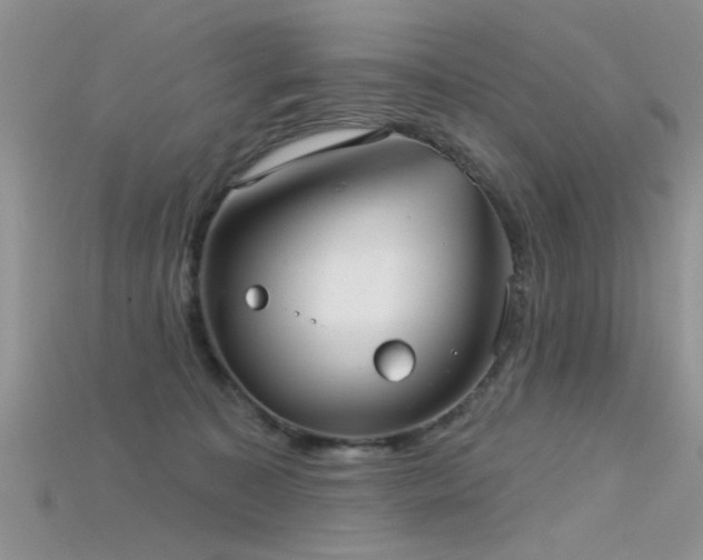 X0000115670323200911121158