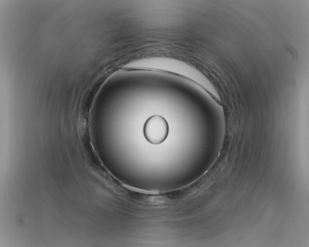 X0000115670324200911121158