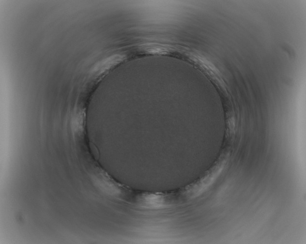 X0000115670325200911121158