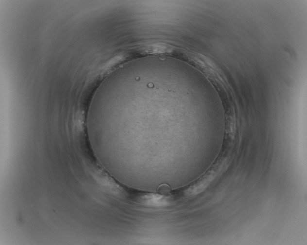 X0000115670326200911121158