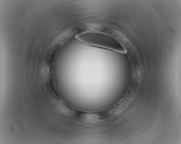 X0000115670327200911121158