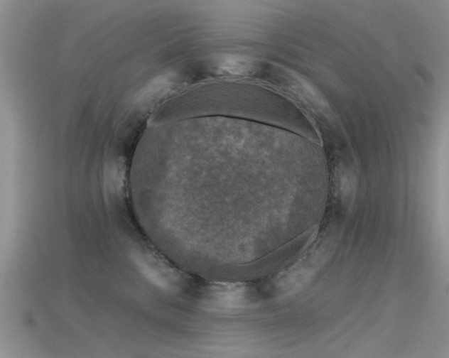 X0000115670328200911121158