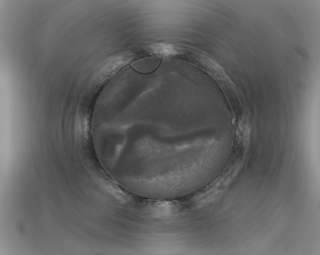 X0000115670330200911121158