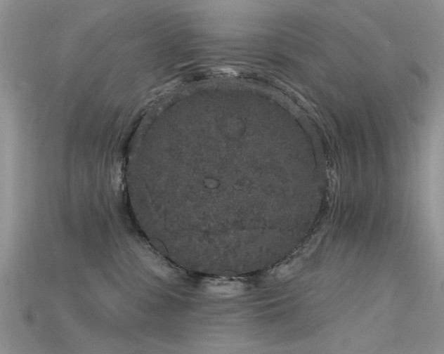 X0000115670331200911121158