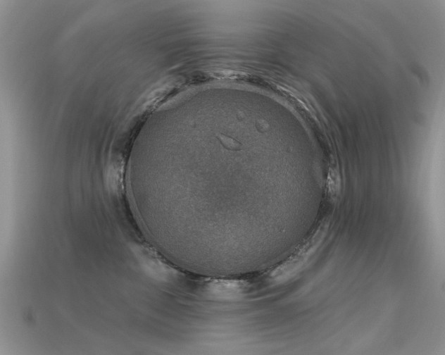 X0000115670332200911121158