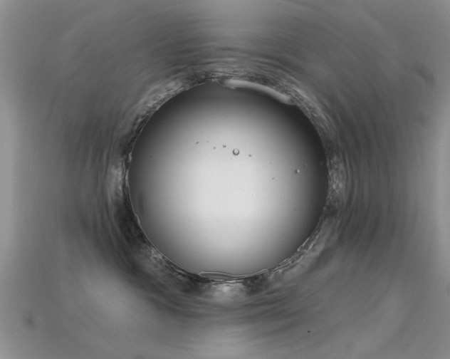 X0000115670333200911121158