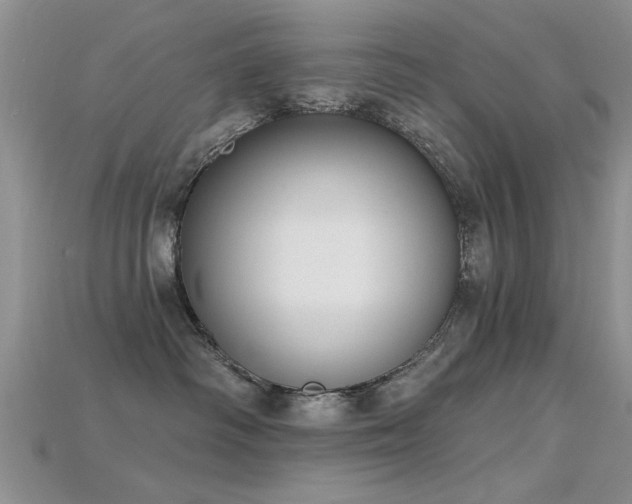 X0000115670334200911121158