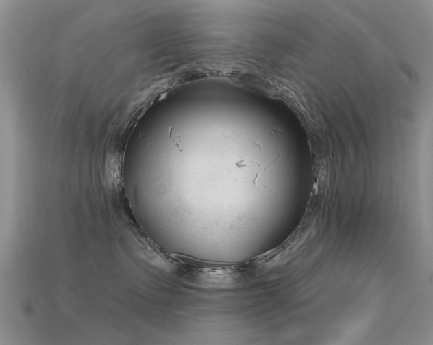 X0000115670335200911121158